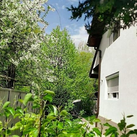 Casa File De Poveste Targu Jiu Exterior photo