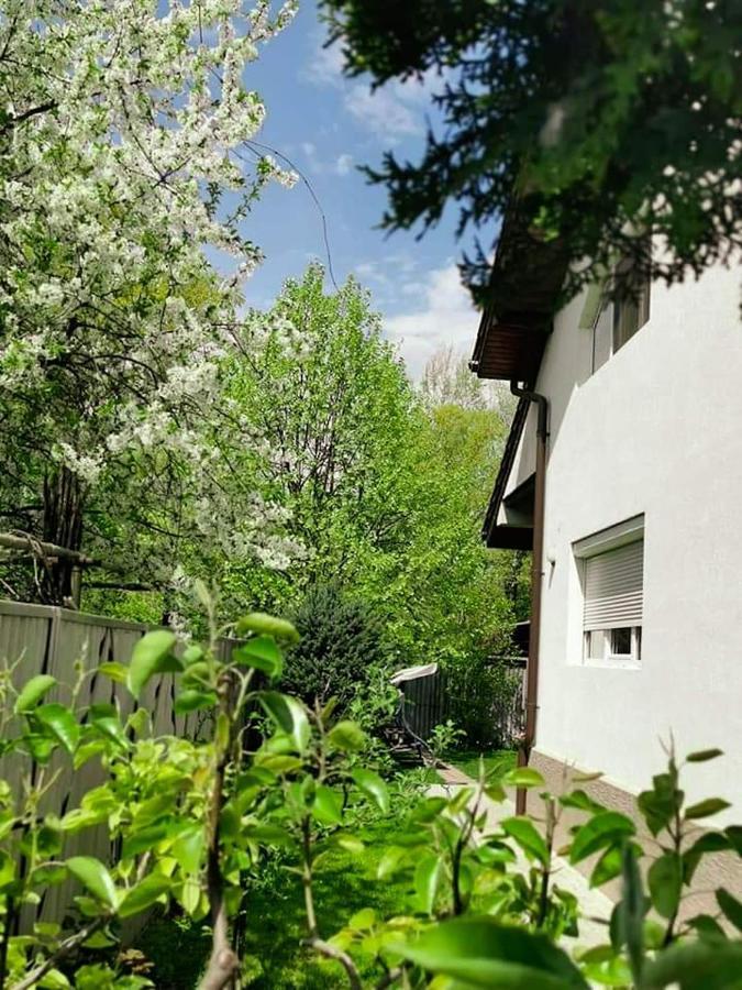 Casa File De Poveste Targu Jiu Exterior photo